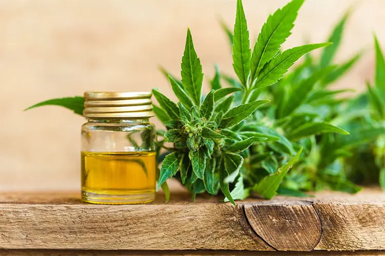 10 Things You Need to Know Before Vaping CBD Oil