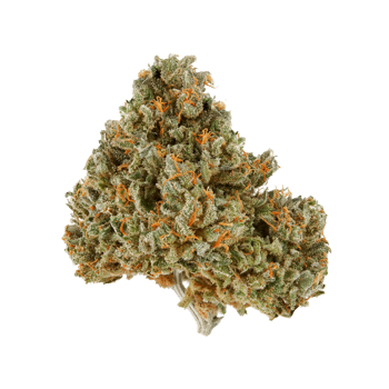 Hera cbd hemp flower