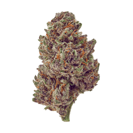 Purple Tsunami cbd hemp flower
