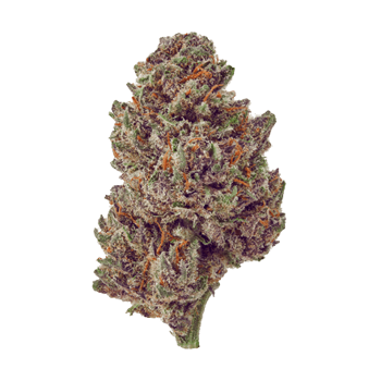 Purple Tsunami cbd hemp flower