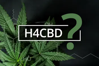 Image for H4CBD: Was ist das und wie unterscheidet es sich von CBD?