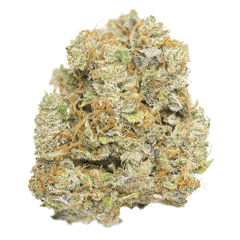 Secret Dream cbd flower