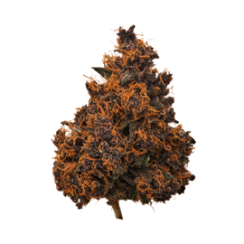 Alpen Gleaux cbd hemp flower bud