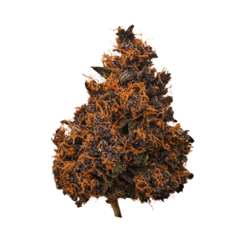 Alpen Gleaux cbd hemp flower bud