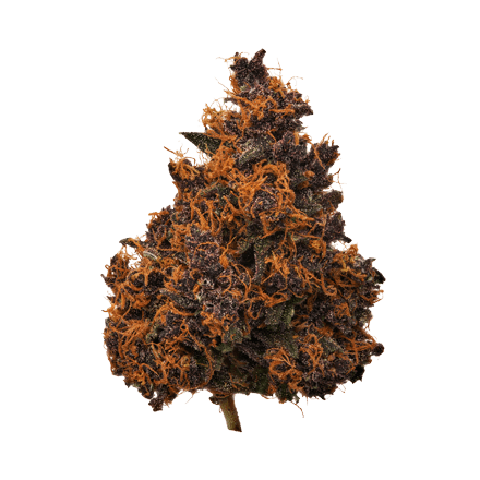 Alpen Gleaux cbd hemp flower bud