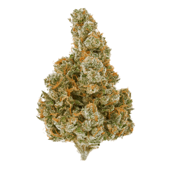 Apple Pie Hemp Flower