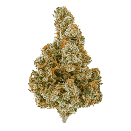 Apple Pie Hemp Flower