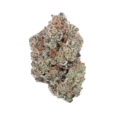 arete galactic funk flower in full view