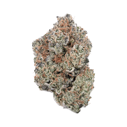 arete galactic funk flower in full view