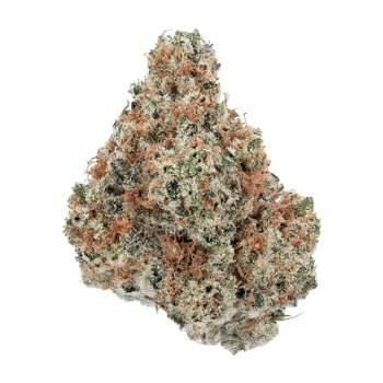 arete paradise og flower in full view