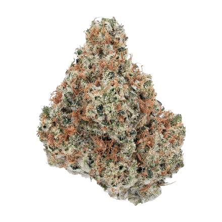 arete paradise og flower in full view