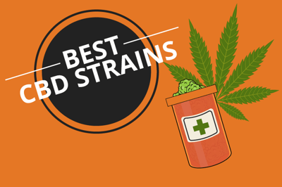 Image for Best CBD Bud & High CBD Strains 2026