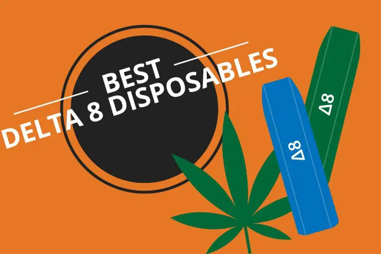 Image for Best Delta 8 Disposable Vapes 2025