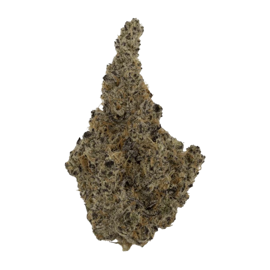 black tie bulk thca flower piff