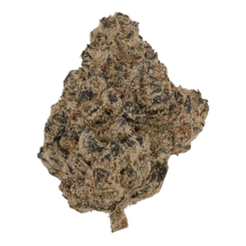 black tie indoor thca flower