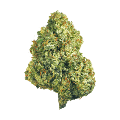 cannaflower hawaiian haze in full view
