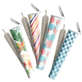 Cannaflower Preroll Flight
