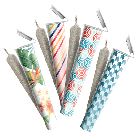 Cannaflower Preroll Flight