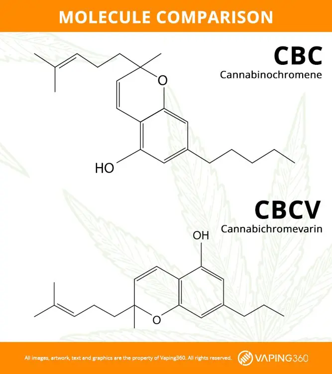Cbc Cv CBC: What Is It and How Does It Compare to CBD? - Vaping360