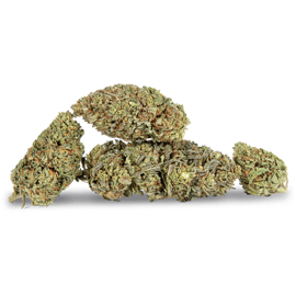cbd hemp flower Northern Lights