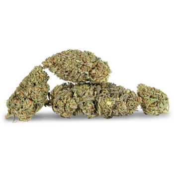 cbd hemp flower Northern Lights