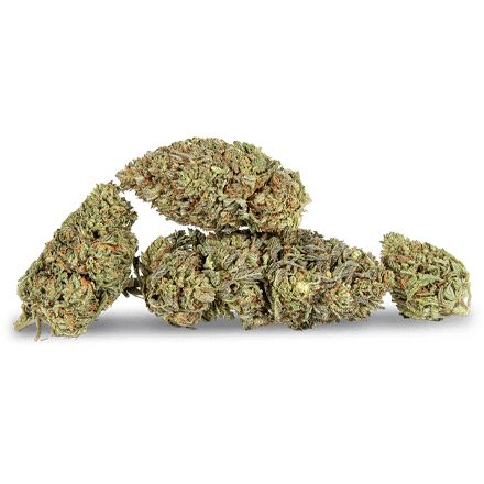 cbd hemp flower Northern Lights