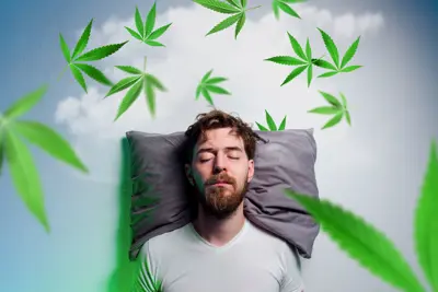 Image for CBD and Sleep: Does CBD Make You Tired?