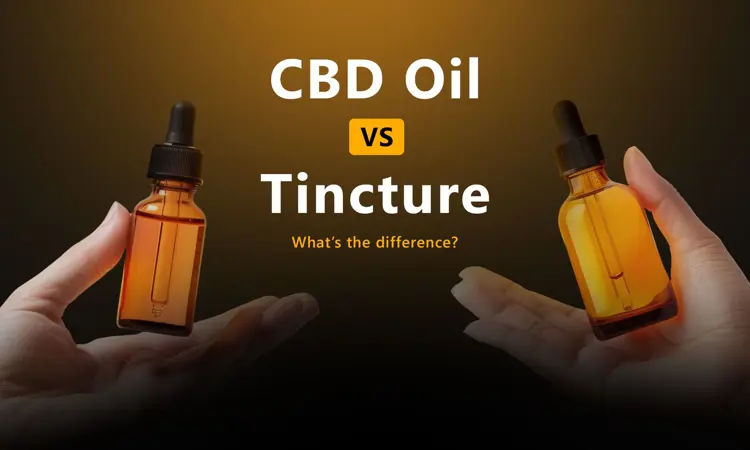 Image for CBD Oil vs. Tincture: What’s the Difference?