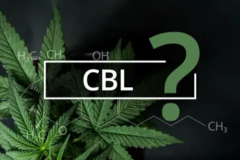 Image for Was ist CBL? Vorteile, Wirkungen und Legalität