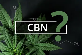 Image for CBN: Ein Cannabinoid für Schlaf und Entspannung?
