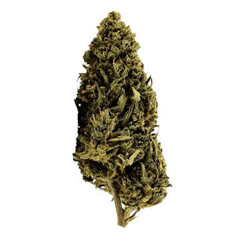 Cherry Wine CBD Flower