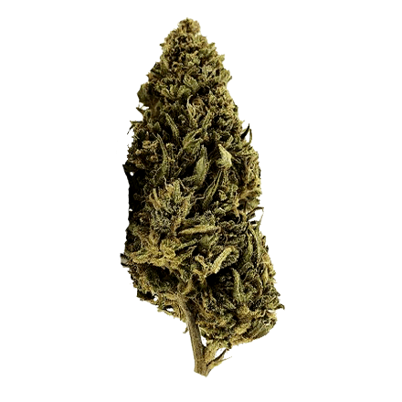 Cherry Wine CBD Flower