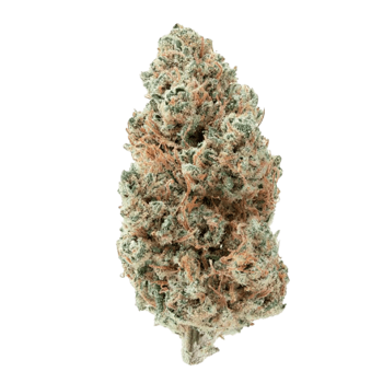 Creme de la Creme Hemp Bud