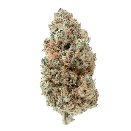 Creme de la Creme Hemp Bud