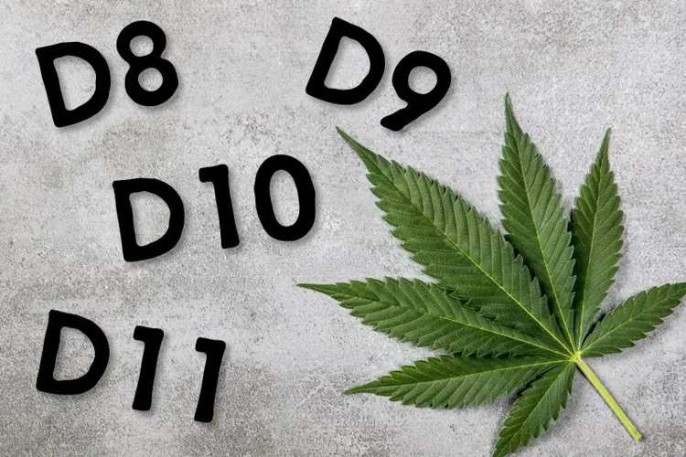 Image for Delta 8 vs. Delta 9 vs. 10 und 11: Beliebte THC-Varianten im Vergleich