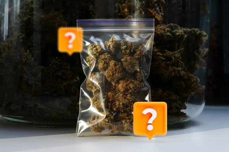 Image for Delta 9 Dosage: How Much THC to Take