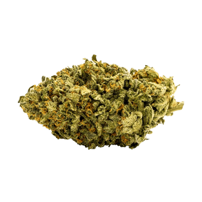 Elektra cbd hemp flower bud