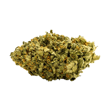 Elektra cbd hemp flower bud