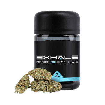 exhale wellness northern lights in full view