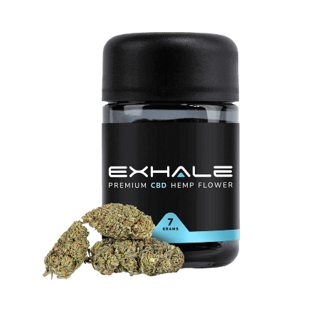 exhale wellness northern lights in full view