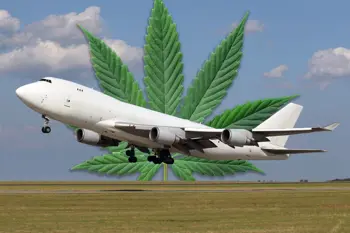 Image for Can You Fly & Travel With Delta 8? Know Your Rules