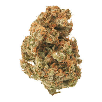 grumpy gorilla cbd bud