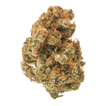 grumpy gorilla cbd bud