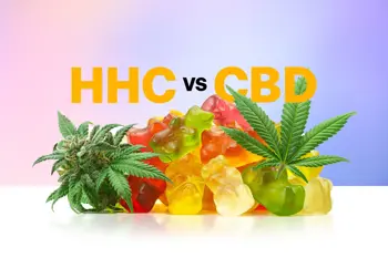 Image for HHC vs. CBD: Zwei Seiten von kommerziellem Hanf