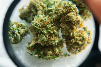Image for Wie wird Delta 8 hergestellt? Von CBD zu THC