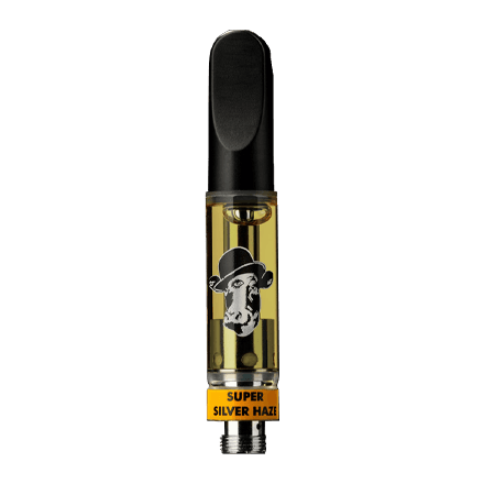 Korova