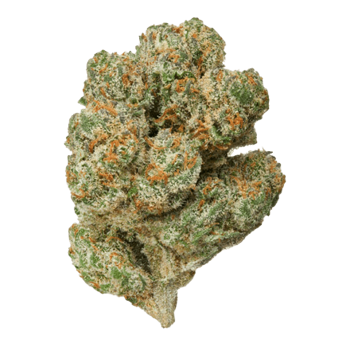 Lemon Aid Indoor Sativa Hemp Flower