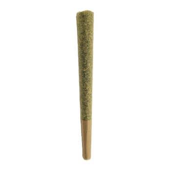 Lifter cbd pre-roll