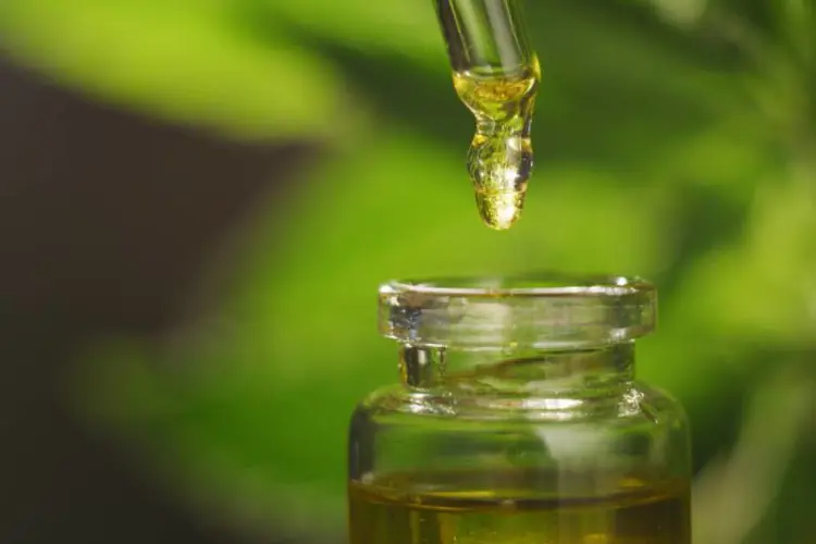 Image for Medizinisches Cannabis in Alabama genehmigt, in Mississippi abgesagt