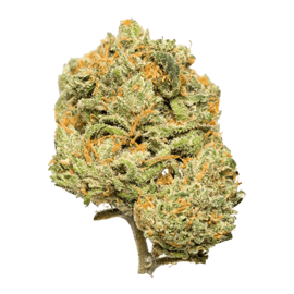 Citron CBD bud